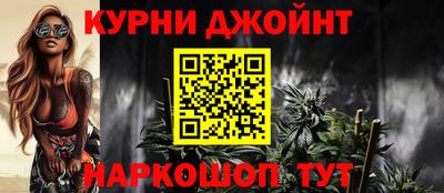 индика Ефремов