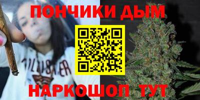 индика Ефремов