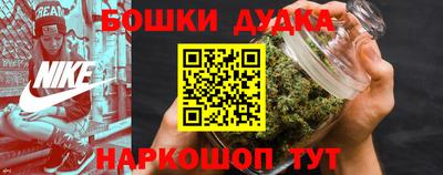 индика Ефремов
