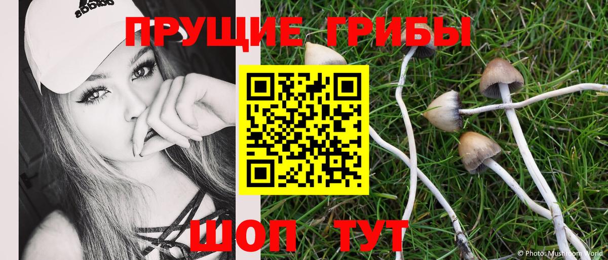 Галлюциногенные грибы Psilocybine cubensis  Вход с VPN  Ангарск 